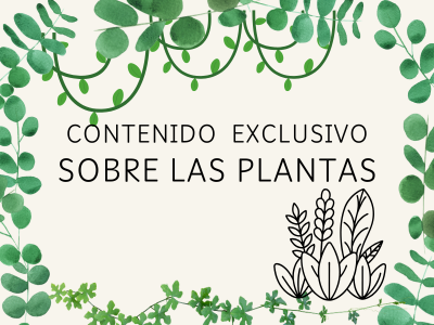 contenido exclusivo